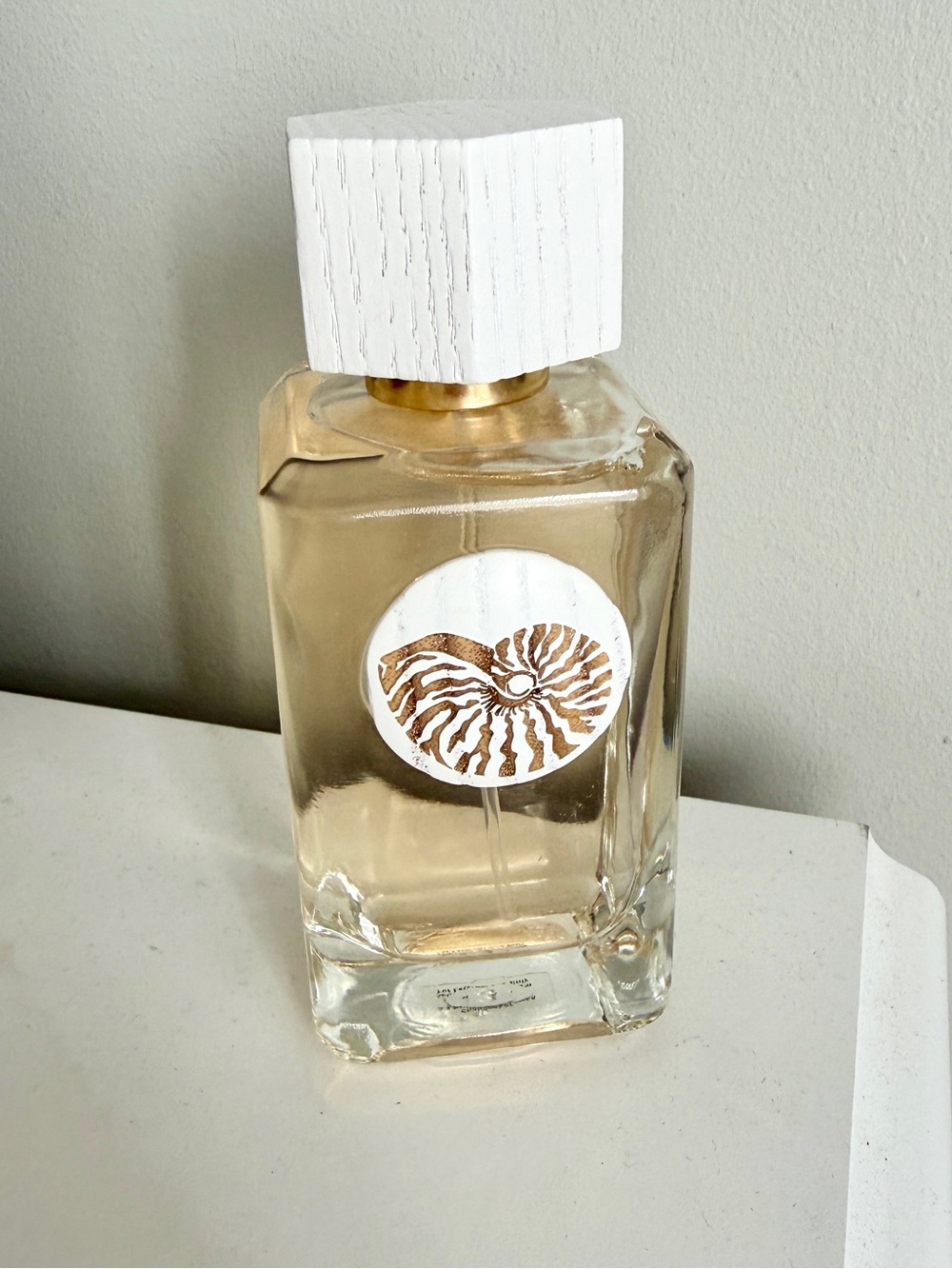 Soft Surroundings shellseeker Neutral Shell Motif Glass Perfume Bottle
